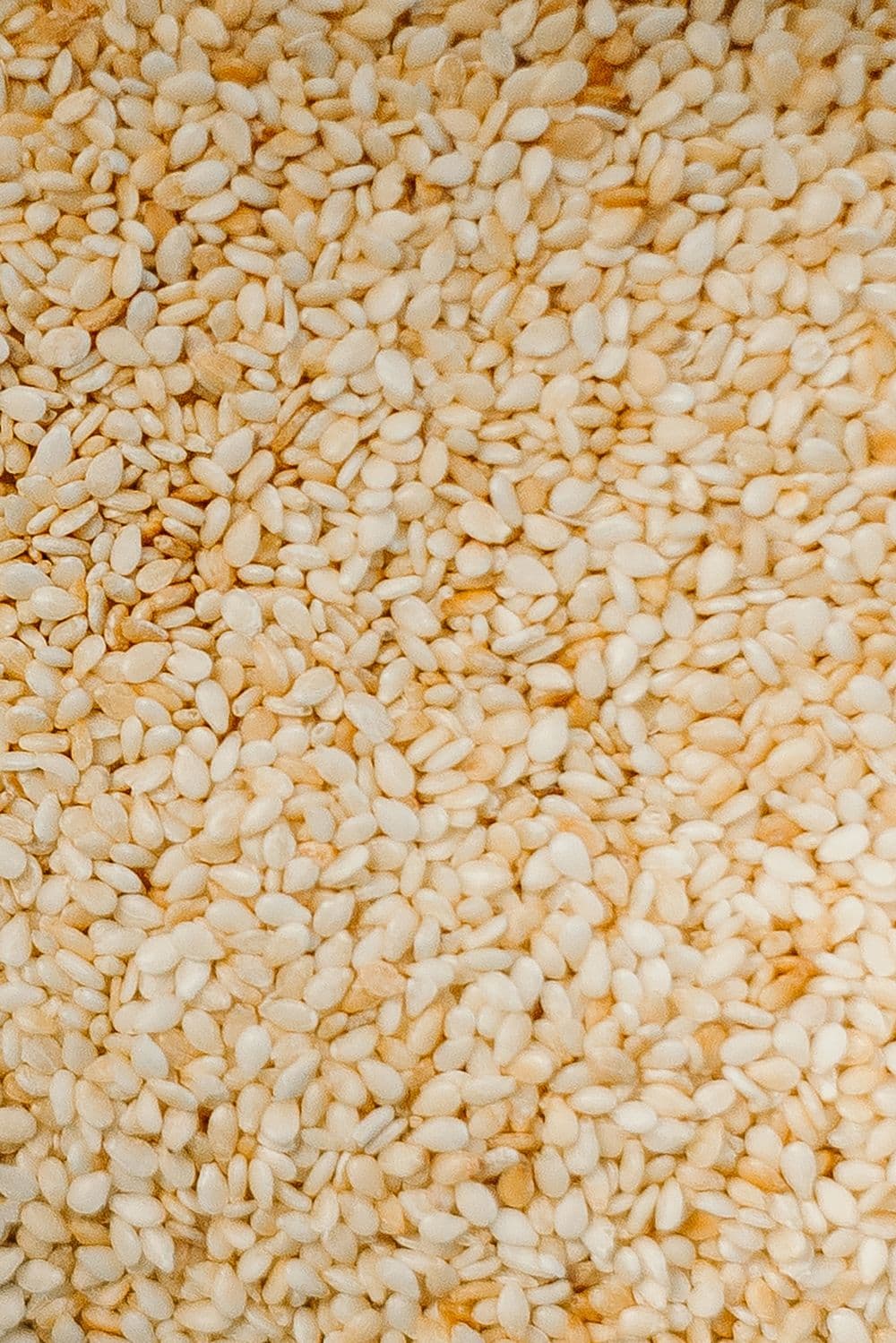 Ajonjolí