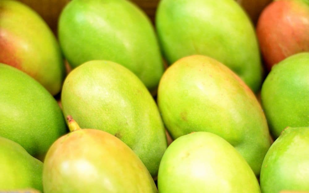 Mango de Olancho